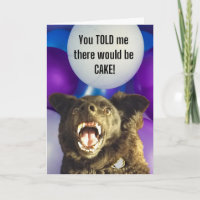 Funny Dog You Told Me There Would be Cake Birthday
