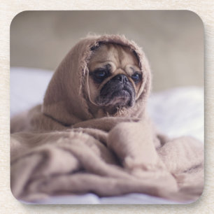 Funny doggy coaster