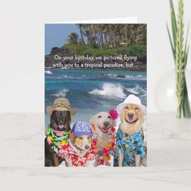 Funny Dogs Birthday for Anyone Card (Front)