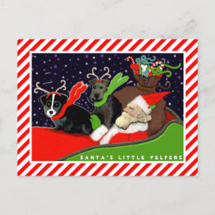 Funny Dogs Christmas Cards