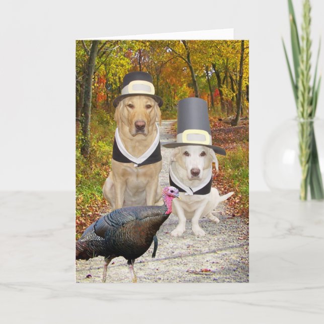 Funny Dogs/Labs Thanksgiving Holiday Card (Front)