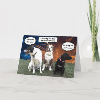 Funny Dogs Planning a Memorable Birthday 
