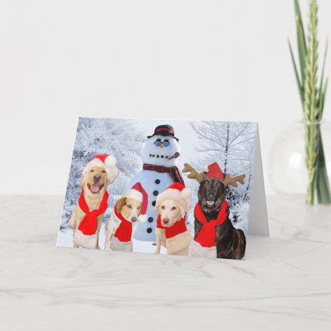 Funny Dogs Season's Greetings Holiday Card (Front)