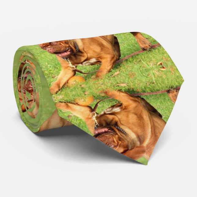 Funny Dogs Tie (Rolled)