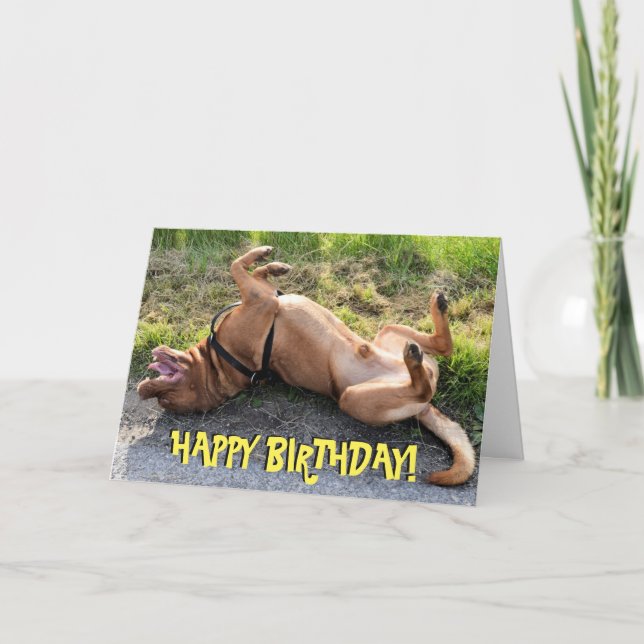 Funny dogue de bordeaux birthday card (Front)