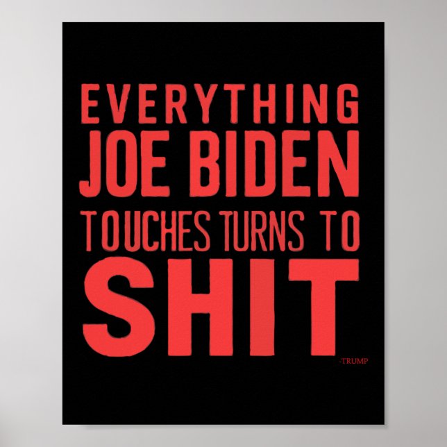 Funny Donald Trump 2024 Everything Joe Biden Touch Poster (Front)