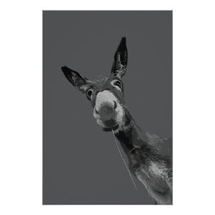 Funny Donkey Grayscale Portrait Art Poster