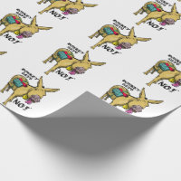 Funny donkey says no!