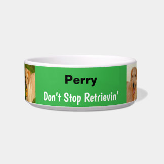Funny Don't Stop Retrievin' Green Bowl