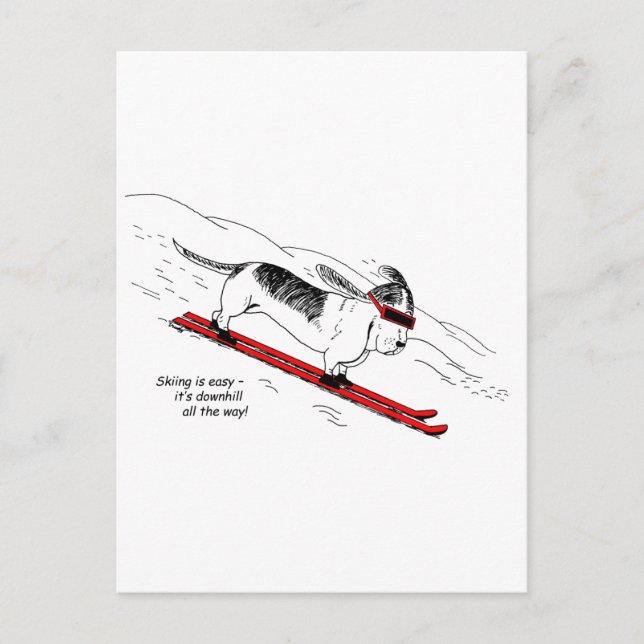 Funny Downhill Skiing Dog Postcard (Front)