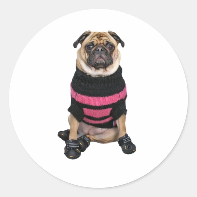 Funny dressed up pug dog with sweater and boots classic round sticker (Front)