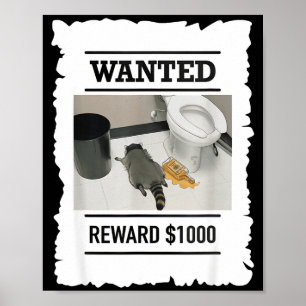 Funny Drunk Raccoon Wanted Reward $1000 Trash Pand Poster