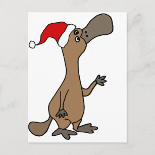 Funny Duck-billed Platypus in Santa Hat Christmas Holiday Postcard