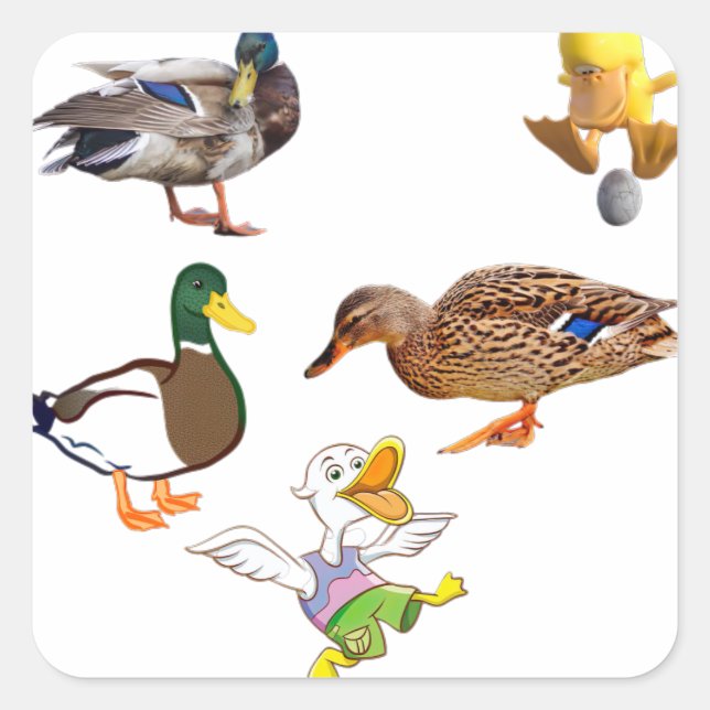 Funny Duck Collage With Playful Characters Square Sticker (Front)