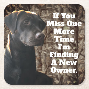 Funny Duck Hunting Chocolate Lab Camo Coaster