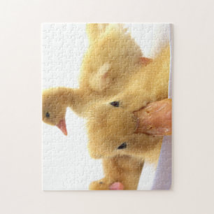 funny duck jigsaw puzzle