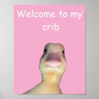 Funny Duck Meme – “Welcome to My Crib” Cute Animal