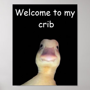 Funny Duck Meme – “Welcome to My Crib” Cute Animal Poster