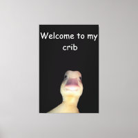 Funny Duck Meme: Welcome to My Crib Duck