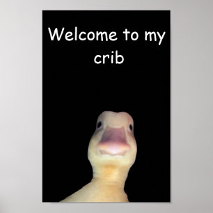 Funny Duck Meme: Welcome to My Crib Duck Poster