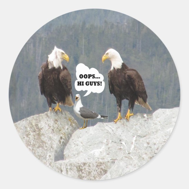 Funny Eagles and Seagull Round Sticker (Front)