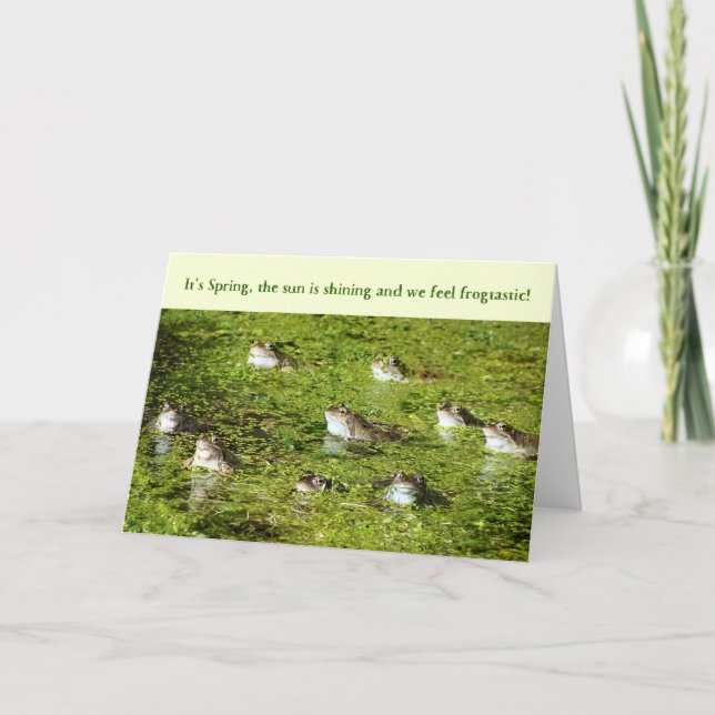 Funny Easter Card - Frogs in a Pond (Front)