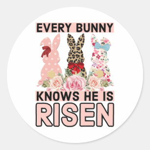 Funny Easter Jesus, Every Bunny Knows He Is Risen Classic Round Sticker