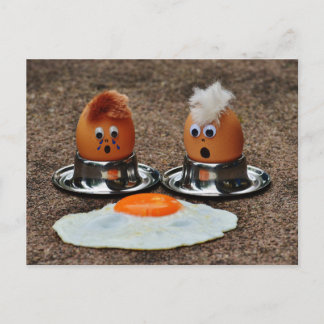 Funny eggs postcard