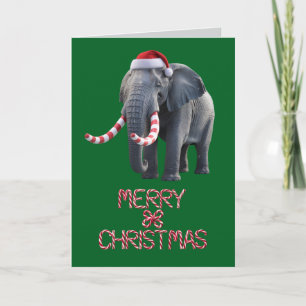 Funny Elephant Christmas Holiday Card
