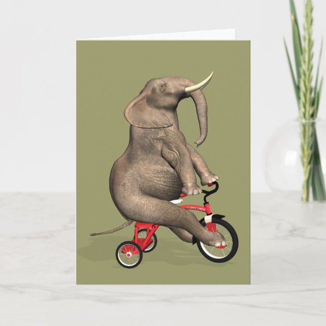 Funny Elephant Riding A Tricycle Card (Front)