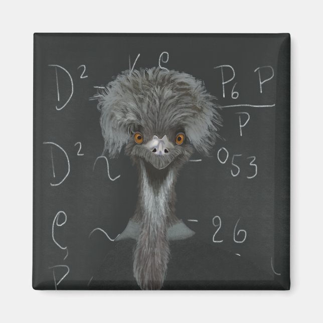 Funny Emu Einstein Magnet (Front)