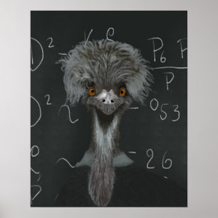 Funny Emu Einstein Poster