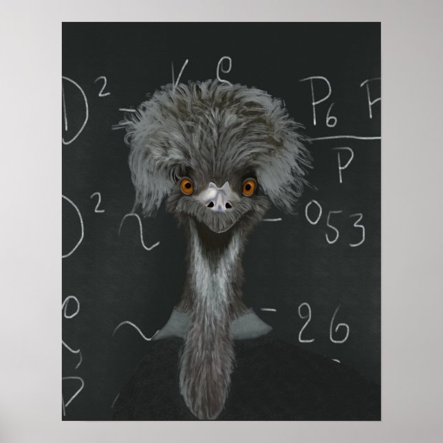 Funny Emu Einstein Poster (Front)