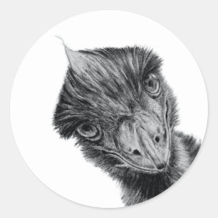 Funny Emu Face Sticker   Black and White Bird Art