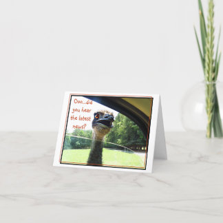 Funny Emu Latest News Gossip Card