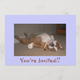Funny English Bulldog Invitations