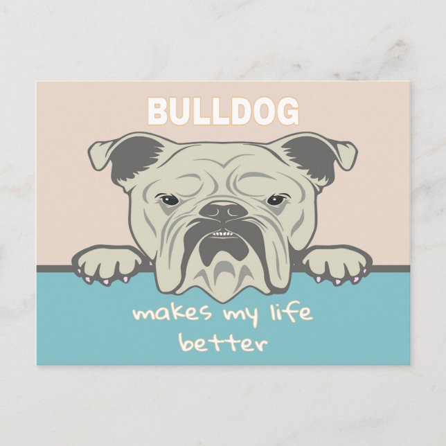 Funny English Bulldog Postcard (Front)