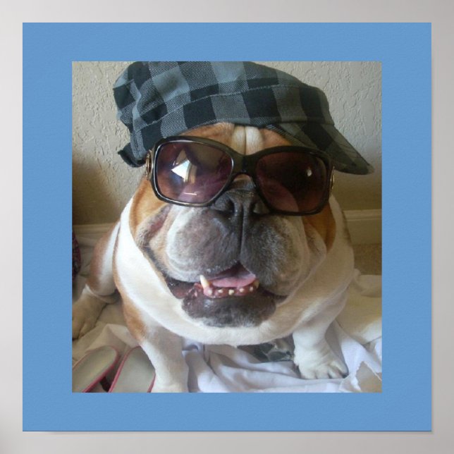 Funny English Bulldog Poster (Front)