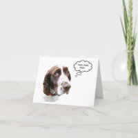 Funny English Springer Spaniel Treat Card
