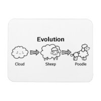 Funny evolution of cloud into sheep and poodle