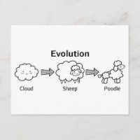 Funny evolution of cloud into sheep and poodle