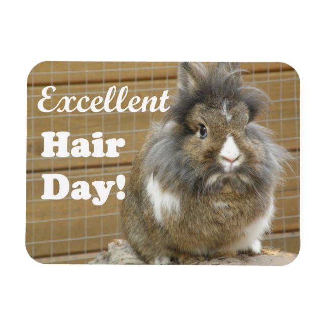 Funny "Excellent Hair Day" for Rabbit Magnet (Horizontal)