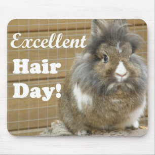 Funny "Excellent Hair Day" for Rabbit Mouse Pad