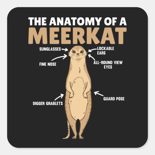 Funny Explanation Of A Meerkat's Anatomy Square Sticker (Front)