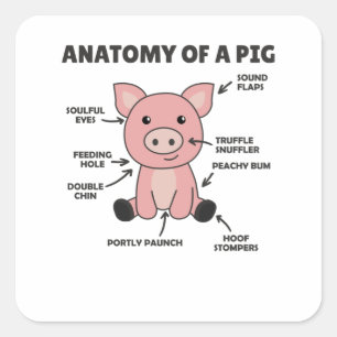 Funny Explanation Of A Pig's Anatomy Square Sticker