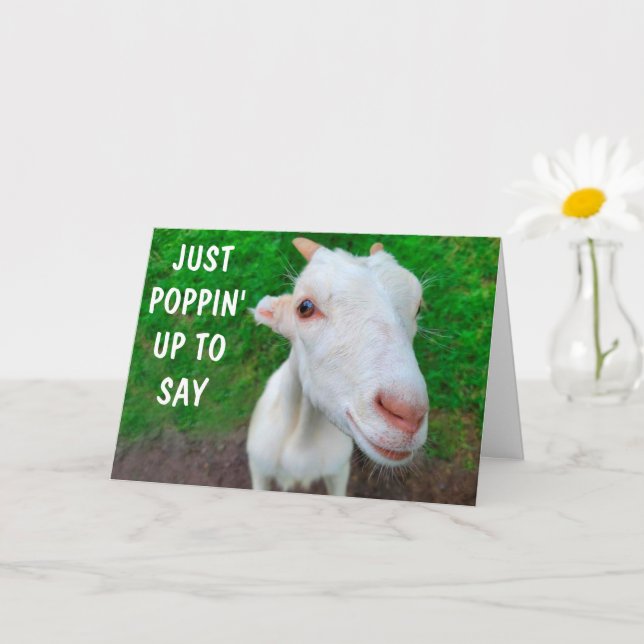 Funny Face Baby Goat Get Well  Card (Small Plant)