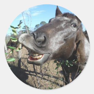 Funny Face brown horse Classic Round Sticker