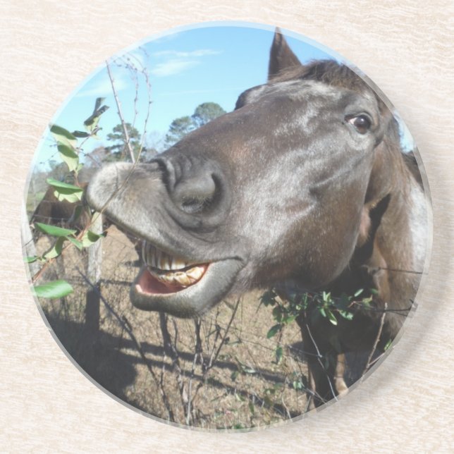 Funny Face brown horse Coaster (Front)