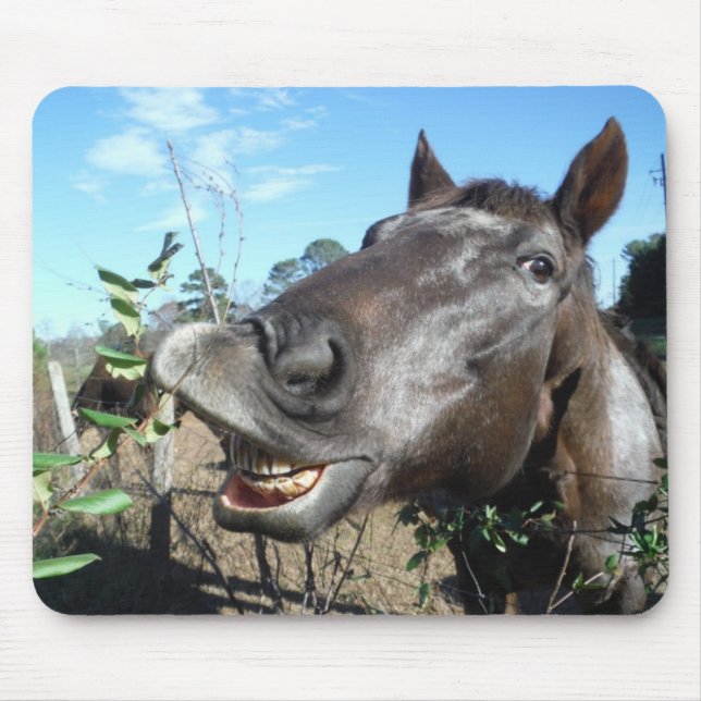 Funny Face brown horse Mouse Pad (Front)