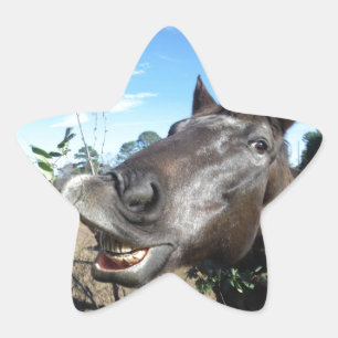 Funny Face brown horse Star Sticker